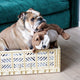 Aykasa - Klappbox Maxi - (B)60 x (H)22 x (T)40 cm; Volumen: 44 Liter - Orchid - 4260704160813 - littlehipstar.com