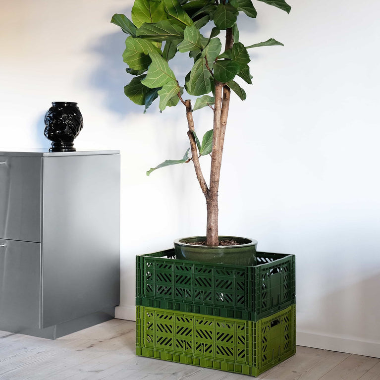 Aykasa - Klappbox Maxi - (B)60 x (H)22 x (T)40 cm; Volumen: 44 Liter - Orchid - 4260704160813 - littlehipstar.com