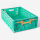 Aykasa - Klappbox Maxi Comfort Lock - (B)60 x (H)18 x (T)40 cm - Mint/Banana - 4260704162749 - littlehipstar.com