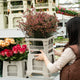 Aykasa - Vasensystem - Basis - Mint - 4260704162497 - littlehipstar.com