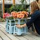 Aykasa - Vasensystem - Basis - Mint - 4260704162497 - littlehipstar.com