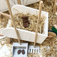by ASTRUP - Stall-Zubehörset für Hobby Horses aus Holz in Weiß - 9 Teile - 5706798842451 - littlehipstar.com