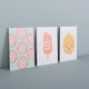 NOKNOK - 