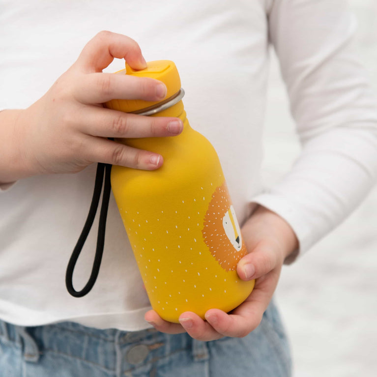 Trixie - Tierdesign Trinkflasche aus Edelstahl - 350 ml - Mr. Dino in Grün - 5400858402011 - littlehipstar.com