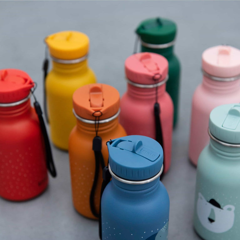 Trixie - Tierdesign Trinkflasche aus Edelstahl - 350 ml - Mr. Dino in Grün - 5400858402011 - littlehipstar.com