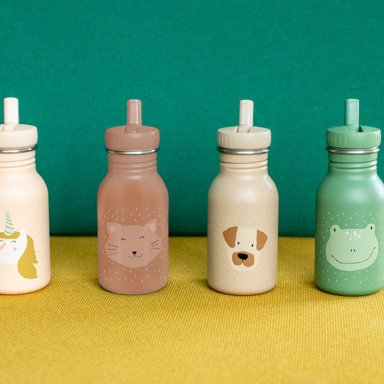 Trixie - Tierdesign Trinkflasche aus Edelstahl - 350 ml - Mr. Dino in Grün - 5400858402011 - littlehipstar.com